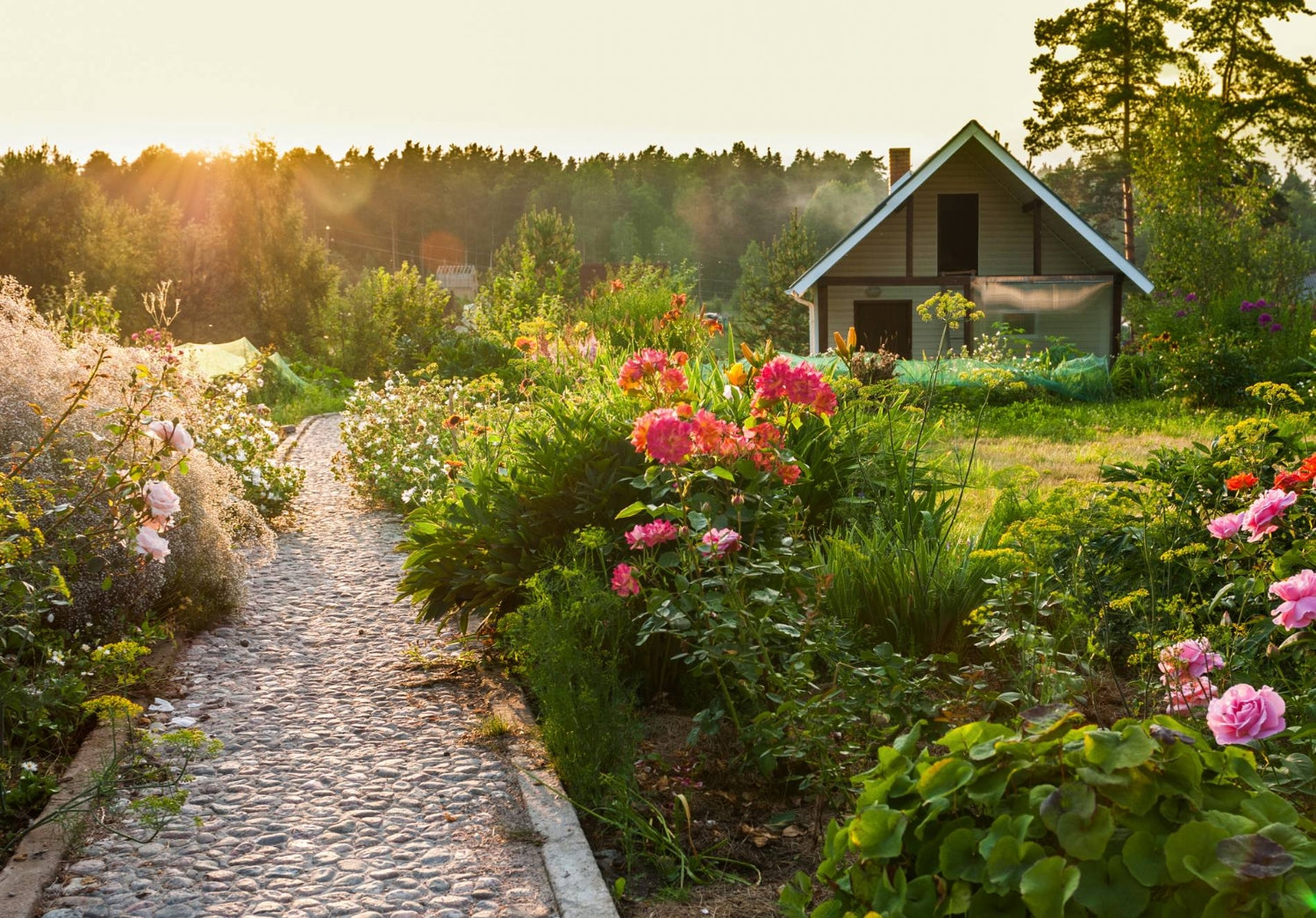 Video laden: Tegenwoordig hoor je overal steeds meer dat er sprake is van klimaatverandering, dit zorgt bijvoorbeeld voor stijging van het waterpeil en uitsterving van bepaalde diersoorten. Kan je dit tegengaan met bloemen en planten is de vraag? Het antwoord is ja! In dit filmpje wordt uitgelegd hoe:)